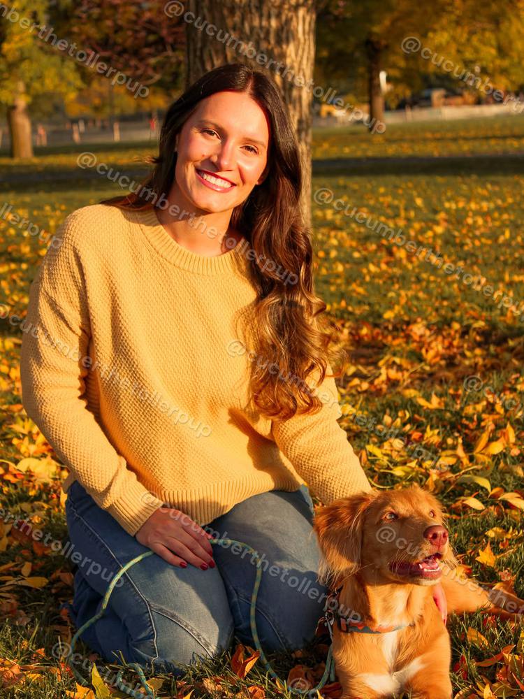 Cucumber the Toller, photo 4