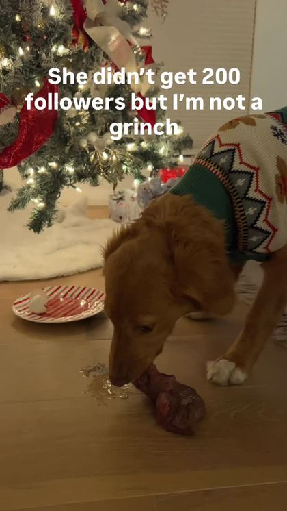 Reel: Merry Christmas!!! 🎄🎁
